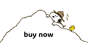 buy now